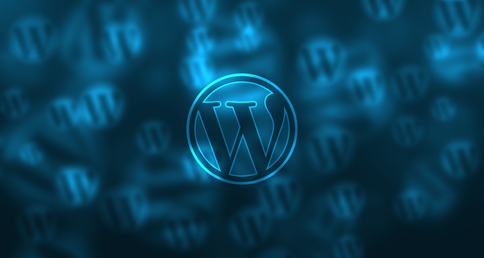 5 Advantages of Enterprise WordPress Hosting