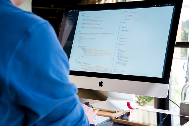 Programming Language